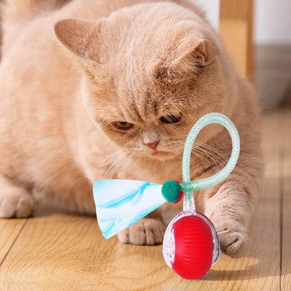 Interactive Cat Play Balls™ - Fun Toy Set for Kitten Entertainment
